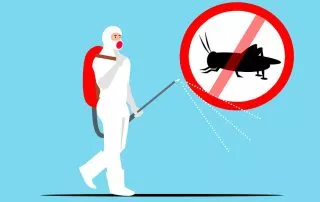 Get back link for Pest control companies