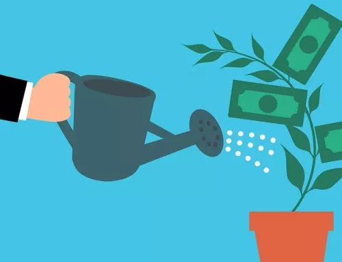 Cheap backlink for Gardening: 5 tactics that cost almost nothing